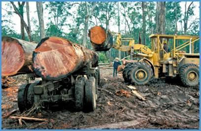 Fate of anthropogenic CO 2 emissions