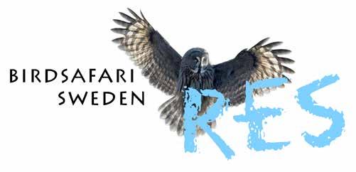 Resan är ett samarbete mellan Birdsafarisweden och Karlmark Resor. Birdsafarisweden - Res www.