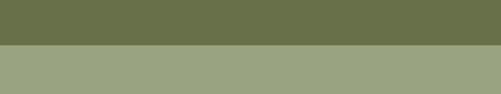 Dnr HSN6 2-2013