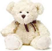 beige 28cm, 2535
