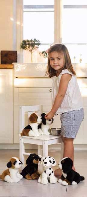 Teddy Dogs &