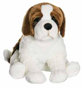 Bernard, XL