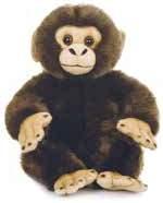 26cm, 2608 Teddy
