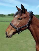 HECTOR MEARAS 17-2473 brun hingst f. 27 maj 2017 3% franskt blod, 15% inavel Muscle Hill på dubbelmiljonärska! 13 Stall E MUSCLE HILL 1.08,5ak 25.059.035 SEK 21 st: 20 1 0 IUMA EK 1.11,6ak 2.469.