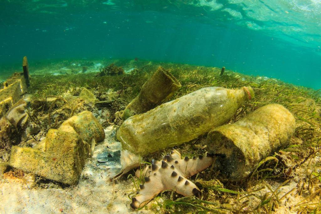 Volvo Ocean Race Utbildningsprogram KAPITEL 3 Så kan vi bekämpa plastföroreningar i havet Som vi lärde oss i Kapitel 2 rubbar plasten i havet vår planets naturliga balans samtidigt som den påverkan