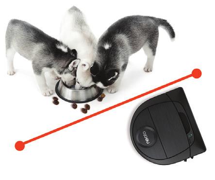 Viktiga punkter Låt inte roboten komma i kontakt med vätskor och våta områden. Flytta undan eller täck över skålar för husdjur och krukfat. Plocka undan småsaker som leksaker och kläder.