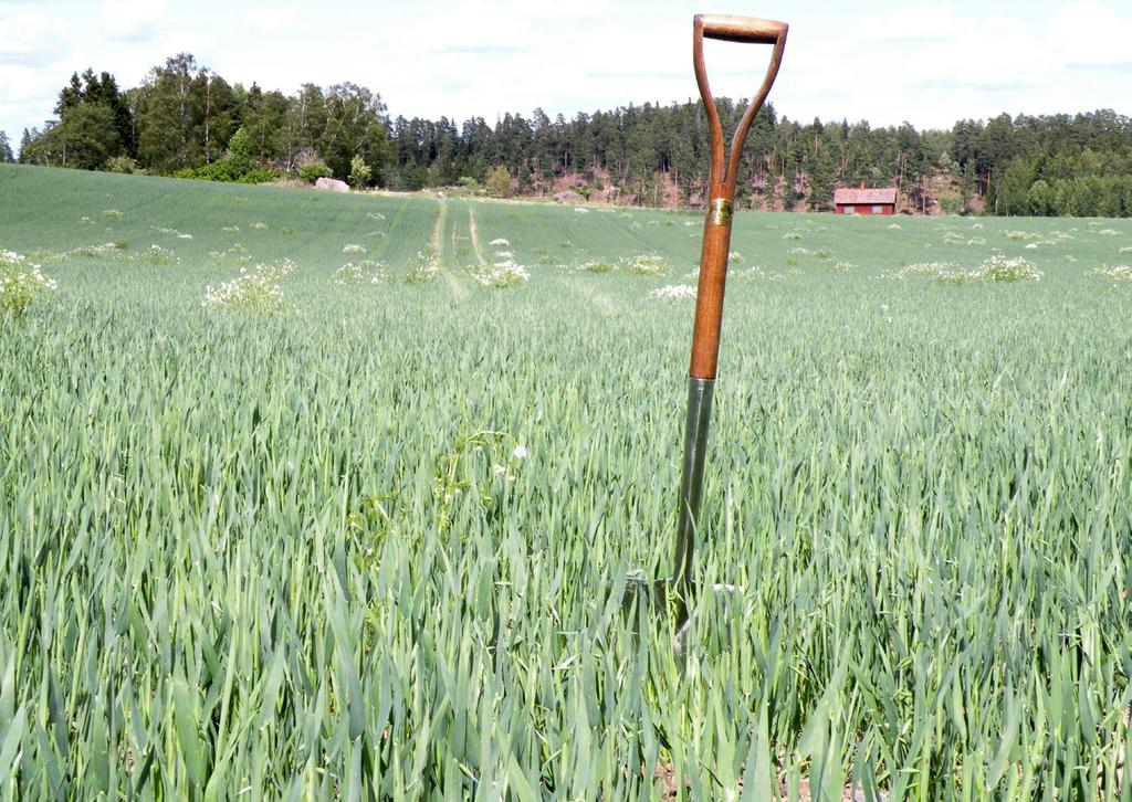 Jordbruksmarkens geokemi Geochemistry of agricultural soils Projektet GEMAS, en kartläggning av europeisk åkermark och betesmark, initierades 2007 av de geokemiska expertgrupperna inom Euro-
