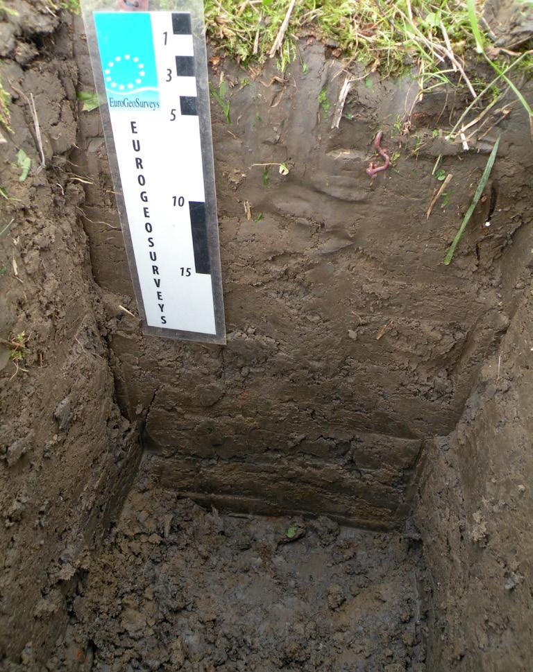 Ett prov togs från markytan ner till 20 cm. Skalstock i cm. Left: An acidic podzol profile in grazing land north of Arjeplog in Lappland.