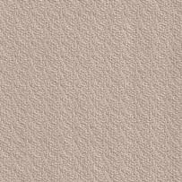 NCS ca S 1002-Y