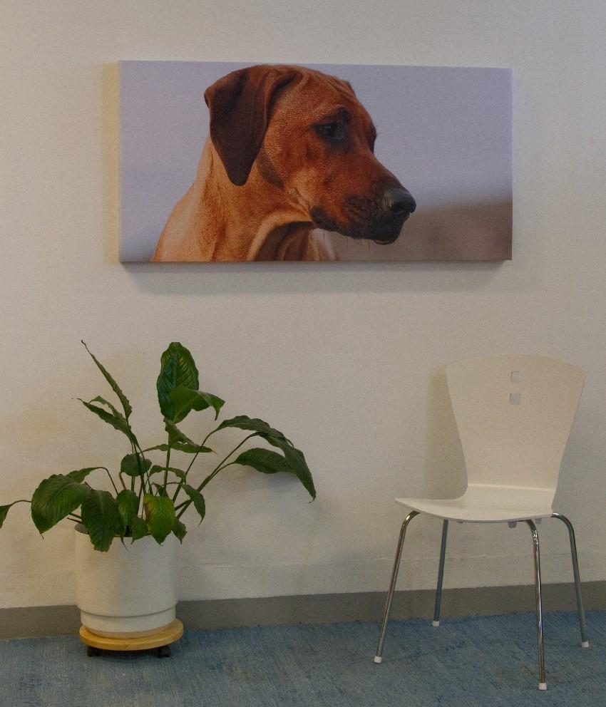 Akustiktavla Pryd väggarna med dina bästa bilder, motiv eller
