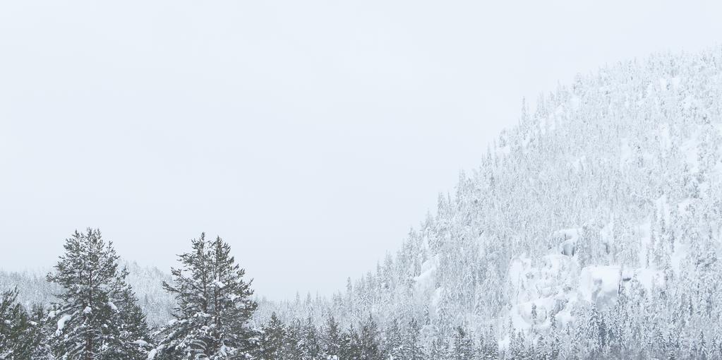 winter warfare - this is where we excel Winter has come, bringing clear cold days and snow in abundance. With the winter comes the annual invitational live exercise Vintersol.