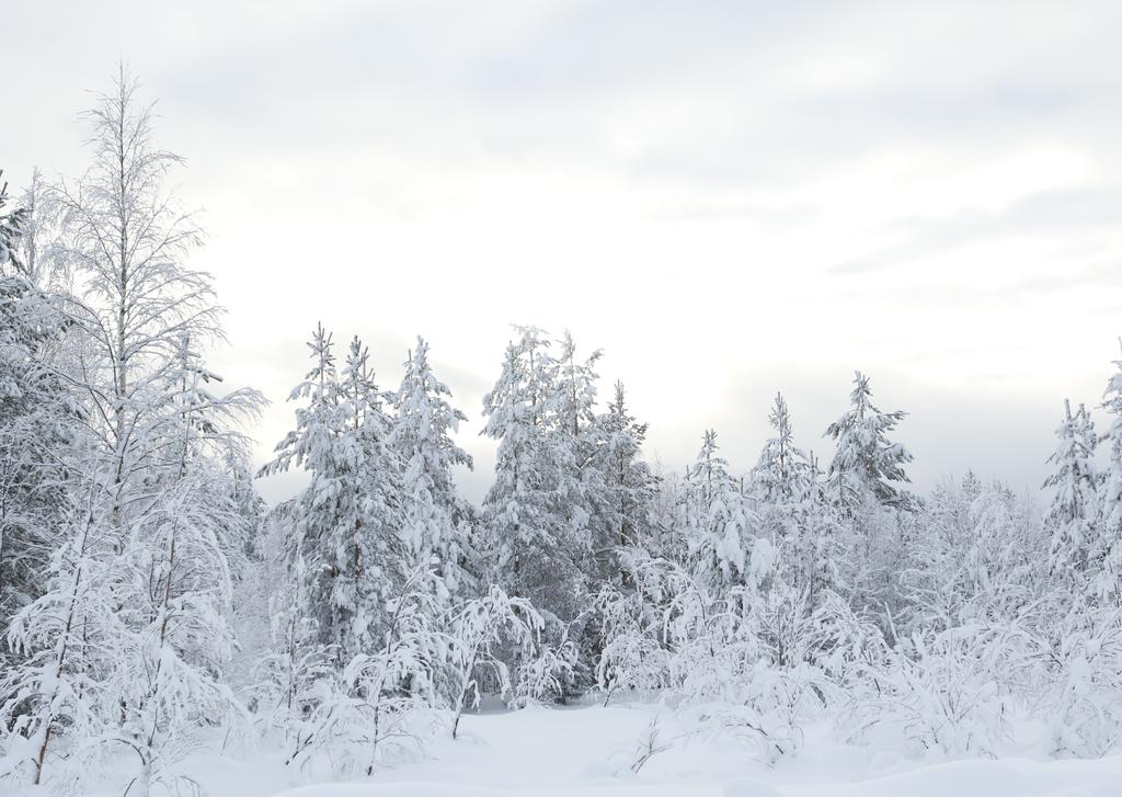 Vintersol 2018 operational stage vintersol 2018 710 709 712 711 713 finex 193:rd ranger battalion Mountain exercise kebnekaise live fire exercise arvidsjaur operations in the Boden area finex 192:nd
