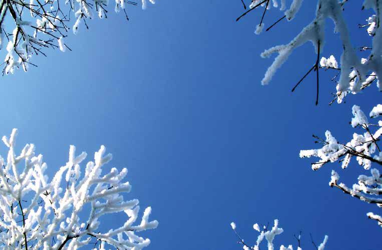 SE JANUARI 2222 JAN 2018 Information & annonser för ALLA i Nordanstig ÖR