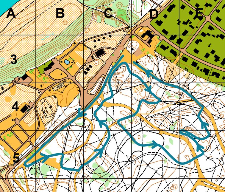 Nybörjare XCO 1