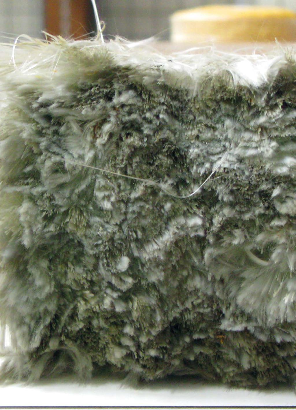 Fiber reinforced Foamed Urethane Livslängd: över 50 år Tjocklek: som trä (740 kg/m 3 ) Bearbetbarhet: som trä Elektrisk konduktivitet: mycket låg Kemisk beständighet: mycket hög Kostnader vid
