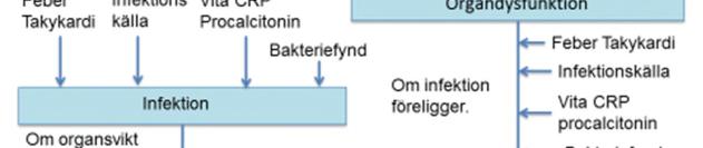 1 Tecken på allvarlig infektion hos vuxna. 1.1 Uppdraget.