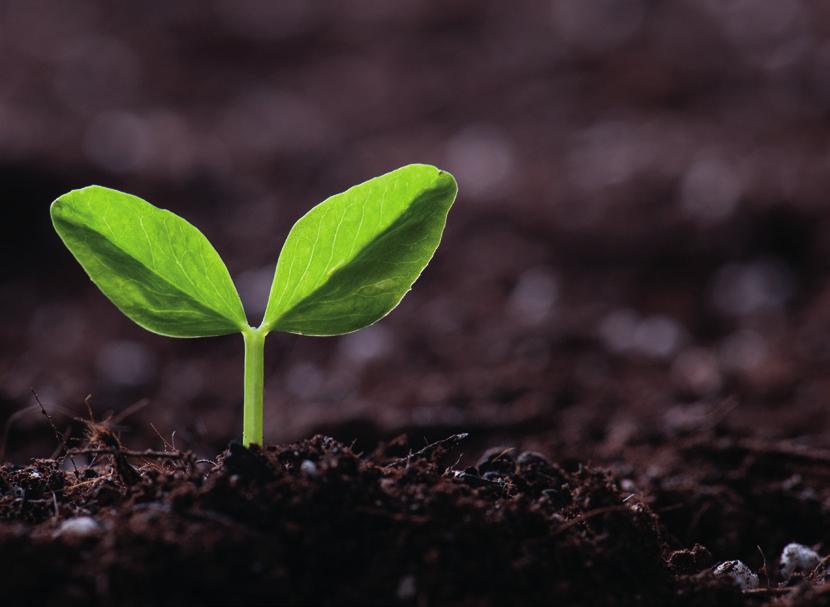 Ledningssystem Miljörevision EMS ISO 14001:2015 Auditor Conversion Detta är en avancerad CQI och IRCA-certifierad utbildning med ID 1770.