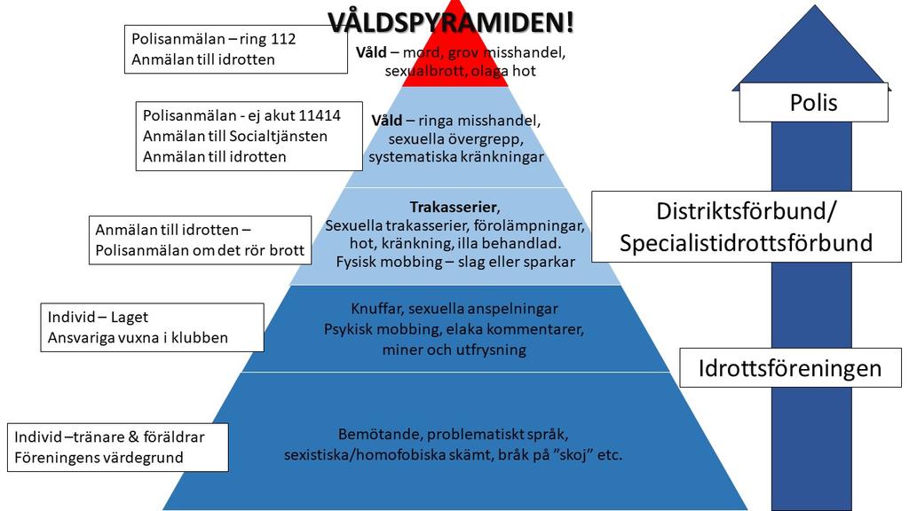vuxna och idrottsledare Försäkring Representation spelare/ledare