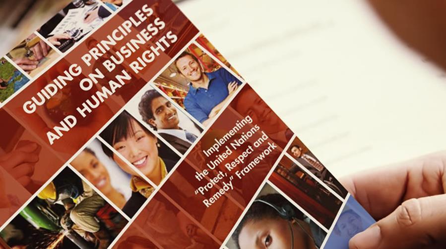 org/documents/publications/guidingprinciplesbusinesshr_en.