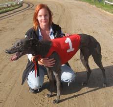 Finalisterna i årets Derby: AL VINN, hane född dec 2011 e. Trent Lee Spiral Ebb. Ägare Ann Christin Holmkvist, SHS. Uppfödare Mrs. Ann Bourke. Bästa tid under 2014 på 550 m: 32.17.