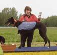70, Annelie Lundin, SHS, tvåa här Hamilton, 33.78, Robert Hanebrink, SHS, trea Limozin, 33.80, I Lindstedt, VHS. Svenskt Greyhound Derby, final Nu var det dags för final i lopp 9.