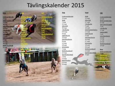dagens bästa sprinttid! Vi tog oss ett litet snack med hans ägare och tränare Jesper Ljungblad och frågade hur tankarna gick inför start på sprint och hur loppet utvecklade sig.
