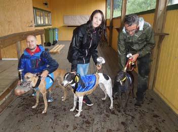 Lopp 9. European Derby Whippet Mix. Fr. v. tvåa Bantu Biko, 35.