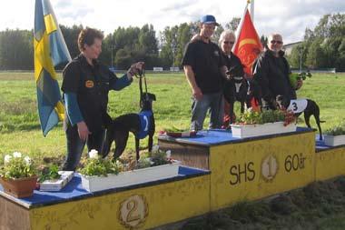 Focus Neon, Whippet. Fr.v. tvåa Xanté, 36.30. Peggy Lundqvist, SHS, etta Mambo Jambo, 35.52, banrekord, Jonas Leihed, 7HS, trea Bull Fighter, 36.34, Torsten Axelsson, 7HS.