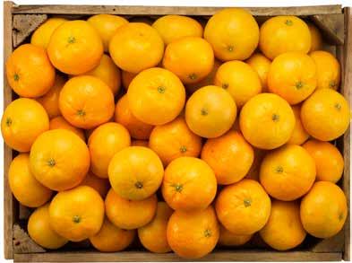 250 g. Jfr-pris 100:-/kg.