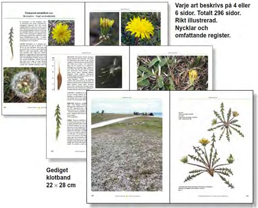 syncarpa), Dvärgslinke (Nitella confervacea). Naturvårdsverket Rapport 5850. Ecke, F. 2010. Undersökningstyp: Makrofyter i sjöar Version 2:0, 2010-04-08. Naturvårdsverket. Hasslow, O.J. 1931.