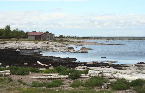 Strand i öster Smalt öppet strandparti med tångvallar och sand.