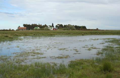 7 Groddjur på Utlängan 2005 10. Södra sanken med omgivande strandängar Välbetat ängsområde med flera översvämningar liknande område 9 (se bild).