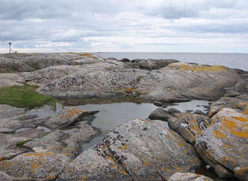 2006:33 Inventering av groddjur på Inlängan, Ungskär och