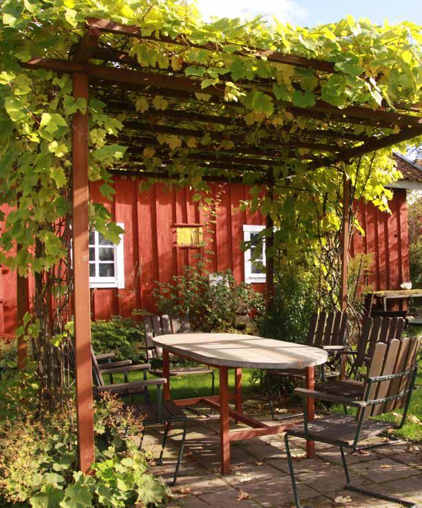 Här bakas allting från grunden och utbudet består till stor del av laktosoch glutenfria bakverk.