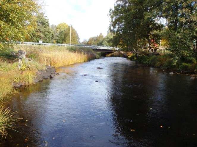 förhållanden både med avseende på försurning och näringsämnespåverkan.