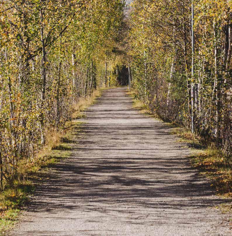 Gott om skolor och förskolor Som boende i Brf Växthuset har du aldrig långt när det är dags att lämna barnen på förskola eller skola.