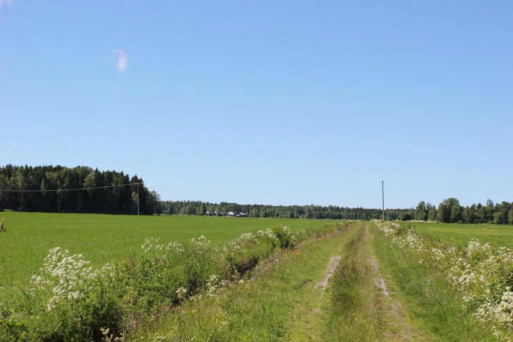 II Åkerlandskap i närheten av Molpe-Petalax
