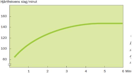 Stabiliseringen kallas steady state eller arbetspulsnivå och innebär att minutvolymen nått den nivå då tillräckligt mycket syre pumpas ut för att klara det aktuella syrekravet.