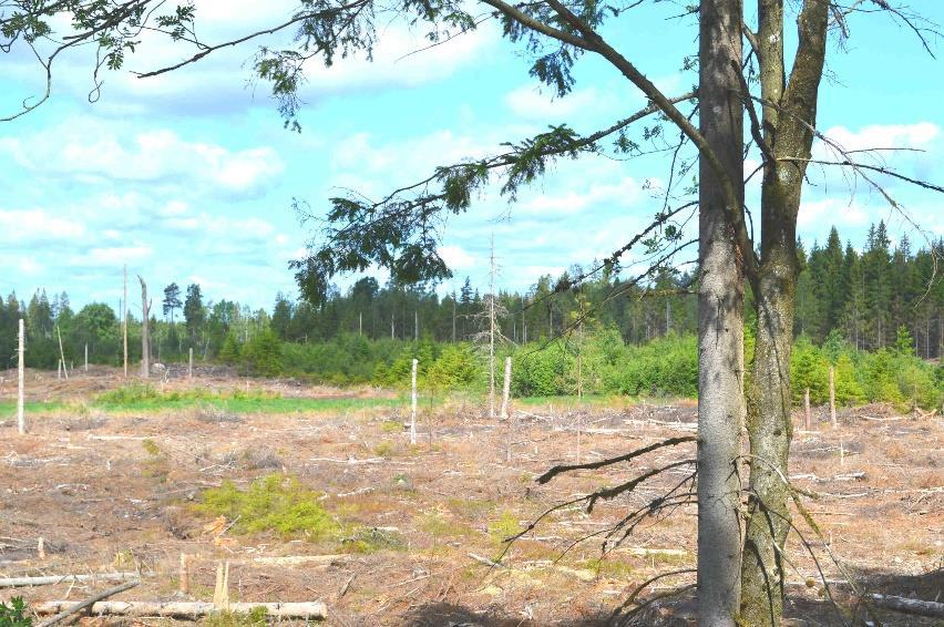 Åker och betesmark (Inägomark) Inägomarken bedöms enligt skogsbruksplanen till ca 6,6 ha. Inägomarken ligger i anslutning till gårdscentrum. Åker och betesmarken är f.n. utarrenderad.