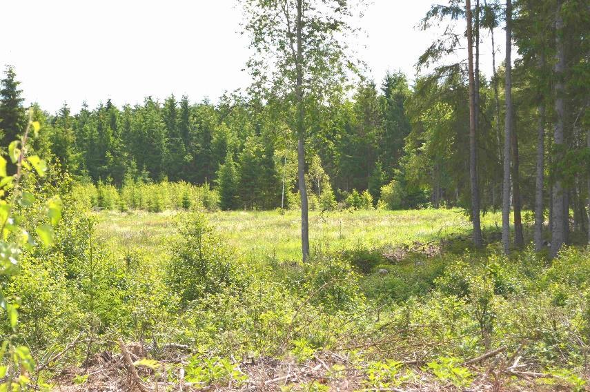 Jakt och fiske Förekommande viltarter är älg, rådjur och vildsvin m.fl. Marken är ansluten till Härlunda älgskötselområde. Älgjakten bedrivs som gemensamhetsjakt.