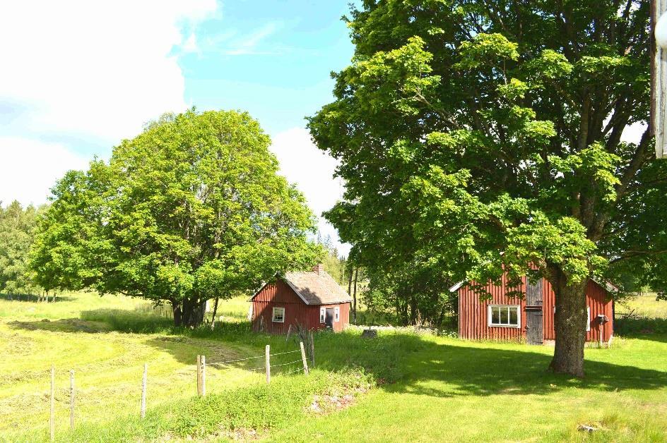 Försäljningssätt Fastigheten Torbjörnahult 1:4 säljs i sin helhet. Ägarna säljer även skogsfastigheten Bromåla 1:8, se 