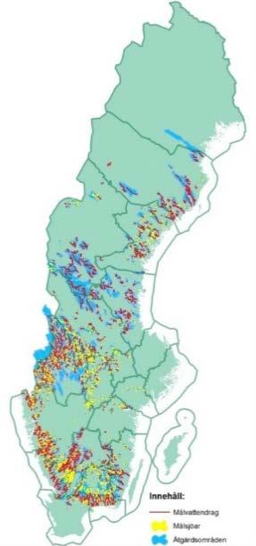 Nya åtgärdsområden? Vattenmyndigheterna om länsstyrelsernas genomförande av åtgärd 11: den ska bidra till att de åtgärder vidtas som behövs för att miljökvalitetsnormerna för vatten ska kunna följas.