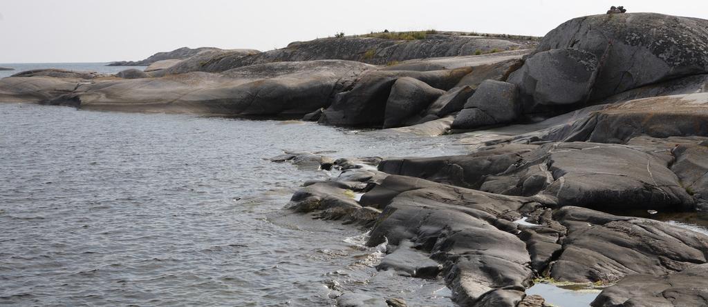 Ju äldre desto mer lättväckt Våra sömnmönster förändras under livets gång. Vi sover ytligare med åren eftersom vi behöver mindre drömsömn. Djupsömnen blir allt kortare.