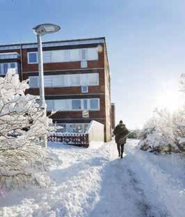 FASTIGHETSBESTÅND Bostadsbolagets fastigheter Bostadsbolaget finns representerade i Göteborgs samtliga stadsdelar. Våra 23 197 lägenheter är fördelade på tre distrikt Centrum, Hisingen och Öster.