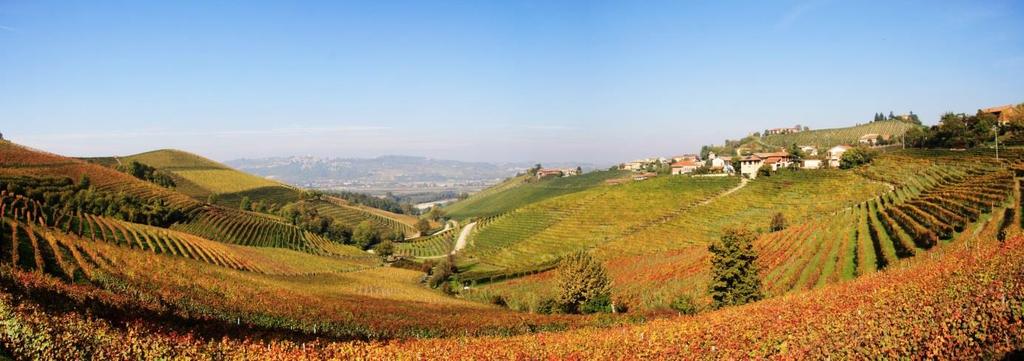 Bästa av Barbaresco Al Barolo, Alba - Alba, 7 nätter 1(6) Vandra i Italien Barbaresco Bästa av Barbaresco al Barolo, 7 nätter Alba - Alba 6 vandringsdagar Leden Dal Barbaresco al Barolo (Bar to Bar)