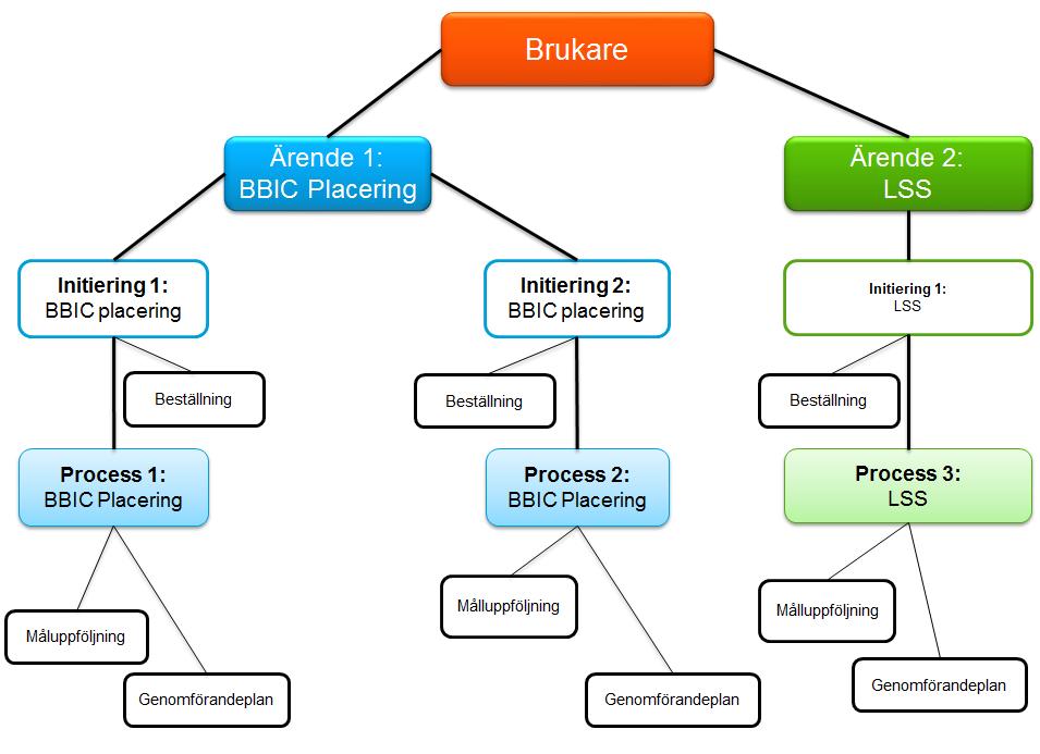 (6). Process. Vad är en process För att få en förståelse för vad en process är ska vi utgå från bilden nedan, som visar strukturen för en brukares ärende (akt).