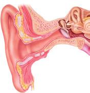 En kliande känsla/ klåda i örat är ett symptom som uppstår på grund av att huden i hörselgången är torr och irriterad. Huden är blottad och har ett försämrat skydd av öronvax.