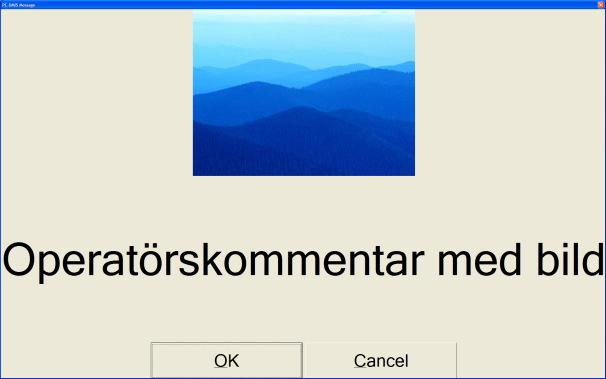 Rapportering Bilder och filmer i rapporter En kommentar kan nu innehålla förutom text även bilder och