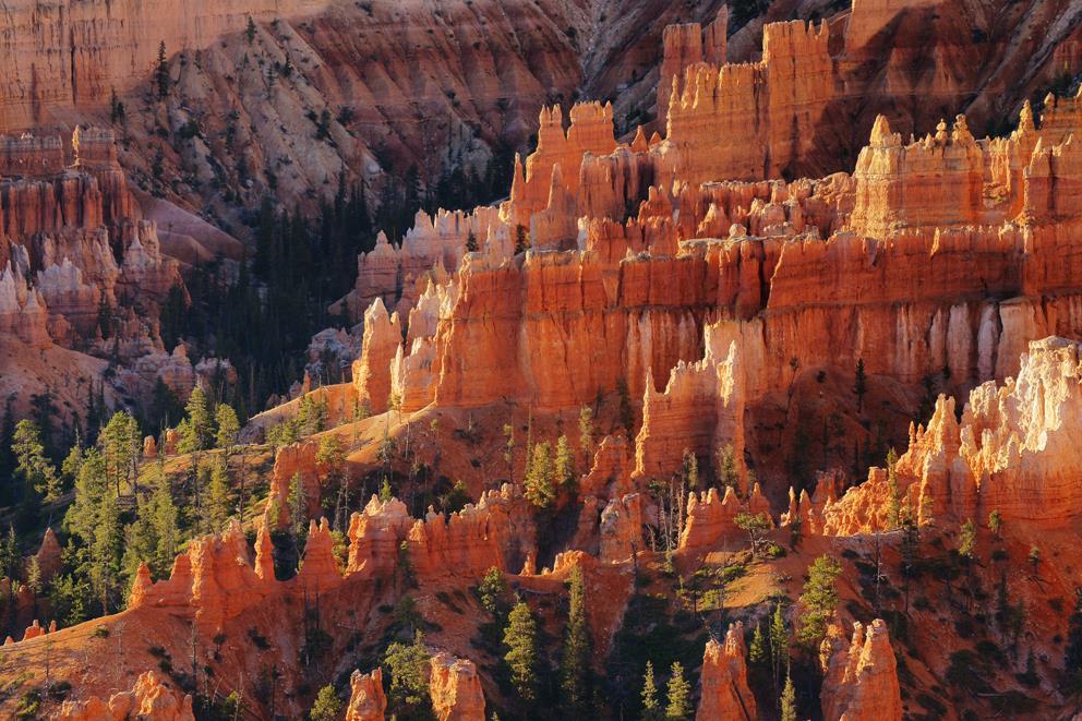 Bryce