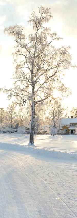 Resultat- och balansräkning 2017-12-31 RESULTATRÄKNING, januari december* ÅR 2017 ÅR 2016* Intäkter och värdeförändringar Värdeförändringar på överlåtbara värdepapper 75 290 710 46 084 077